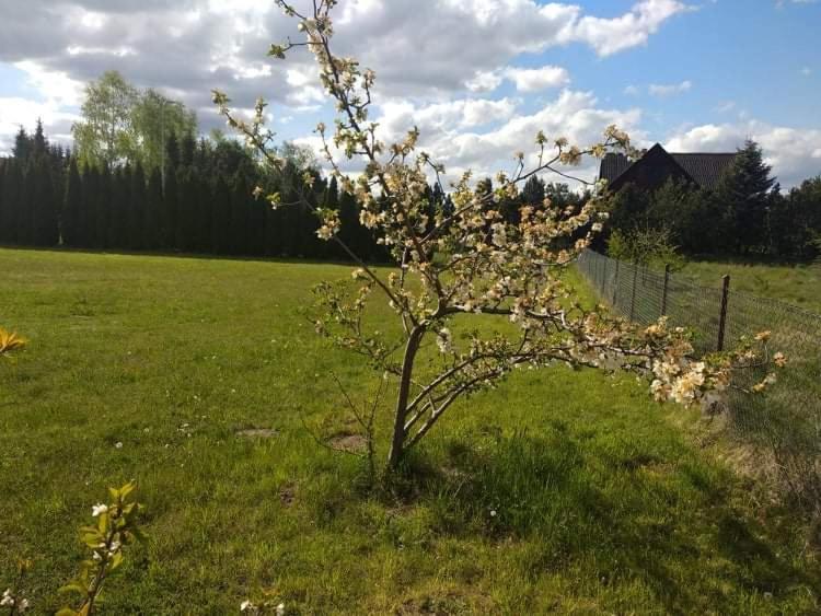Domki Orla Pasym Buitenkant foto
